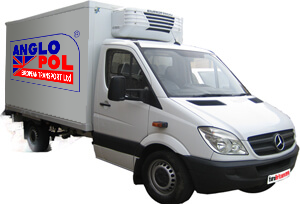 Refrigerated van 8 europallets / 700kg